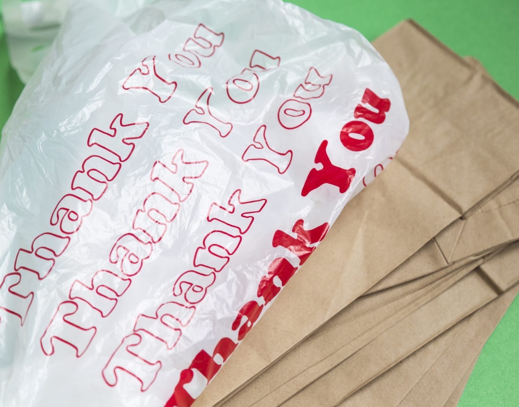 Plastic and Brown Paper Bags