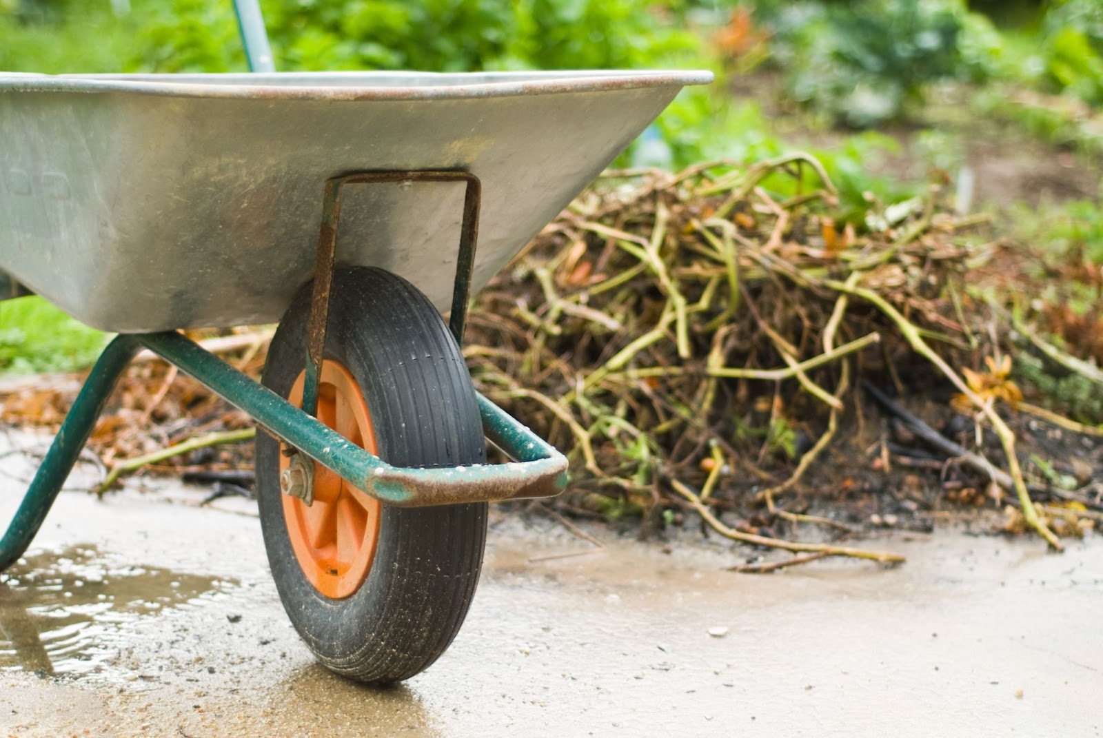 wheelbarrow next to yard waste